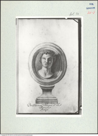 Vorderseite von Warburg Institute [https://www.deutsche-digitale-bibliothek.de/content/lizenzen/rv-ez/] Album CarpioMarmorrelief mit dem Porträt eines Satyr - , bh306132_recto. Foto.