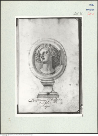 Vorderseite von Warburg Institute [https://www.deutsche-digitale-bibliothek.de/content/lizenzen/rv-ez/] Album CarpioMarmorrelief mit dem Porträt einer Nymphe - , bh306133_recto. Foto.