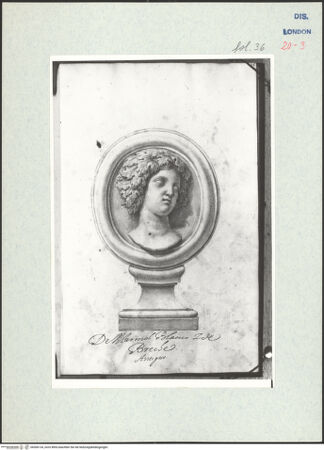 Vorderseite von Warburg Institute [https://www.deutsche-digitale-bibliothek.de/content/lizenzen/rv-ez/] Album CarpioMarmorrelief mit dem Porträt einer Nymphe - , bh306134_recto. Foto.