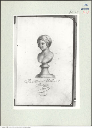 Vorderseite von Warburg Institute [https://www.deutsche-digitale-bibliothek.de/content/lizenzen/rv-ez/] Album CarpioPorträtbüste aus Marmor - , bh306140_recto. Foto.