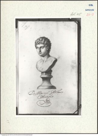 Vorderseite von Warburg Institute [https://www.deutsche-digitale-bibliothek.de/content/lizenzen/rv-ez/] Album CarpioPorträtbüste aus Marmor - , bh306143_recto. Foto.