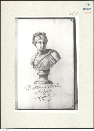 Vorderseite von Warburg Institute [https://www.deutsche-digitale-bibliothek.de/content/lizenzen/rv-ez/] Album CarpioPorträtbüste aus Marmor - , bh306153_recto. Foto.