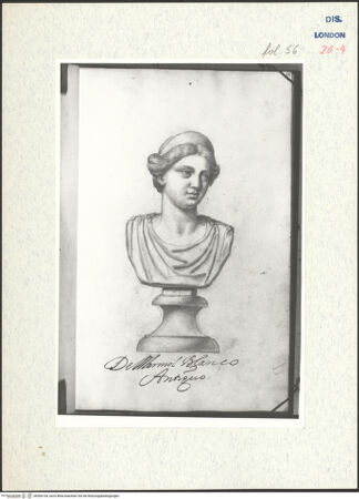 Vorderseite von Warburg Institute [https://www.deutsche-digitale-bibliothek.de/content/lizenzen/rv-ez/] Album CarpioPorträtbüste aus Marmor - , bh306154_recto. Foto.