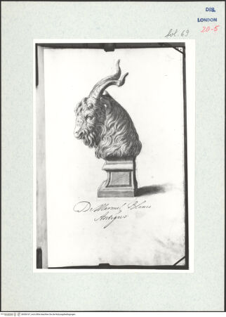 Vorderseite von Warburg Institute [https://www.deutsche-digitale-bibliothek.de/content/lizenzen/rv-ez/] Album CarpioSkulptur eines Ziegenkopfes - , bh306167_recto. Foto.