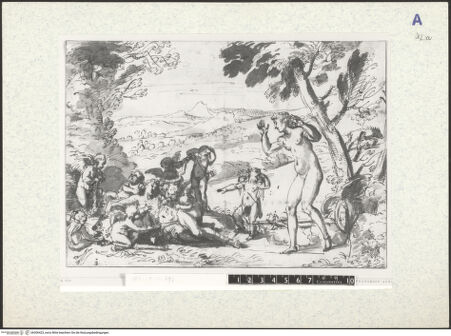 Vorderseite von bh306423_recto