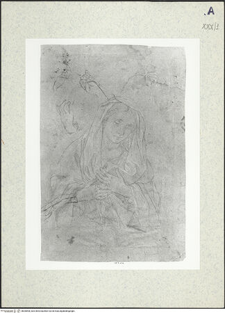 Vorderseite von bh306508_recto