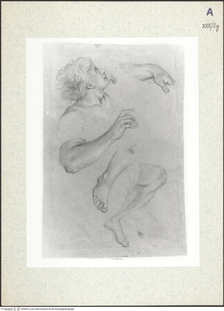 Vorderseite von bh306512_recto