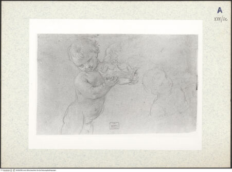 Vorderseite von bh306558_recto