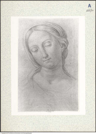 Vorderseite von bh306560_recto