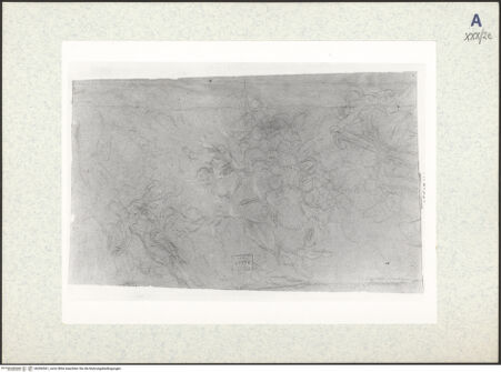 Vorderseite von bh306561_recto