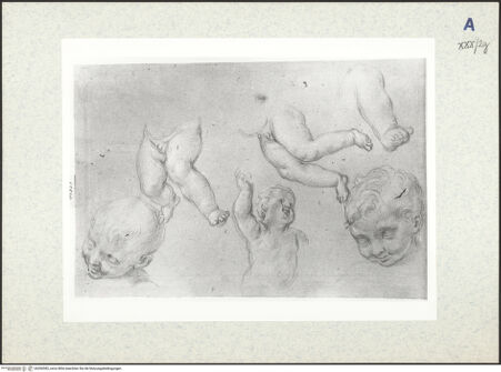 Vorderseite von bh306582_recto