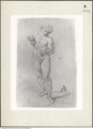 Vorderseite von bh306585_recto