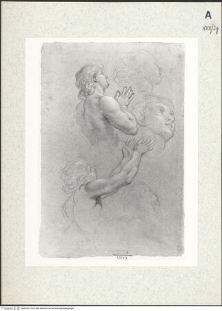 Vorderseite von bh306592_recto