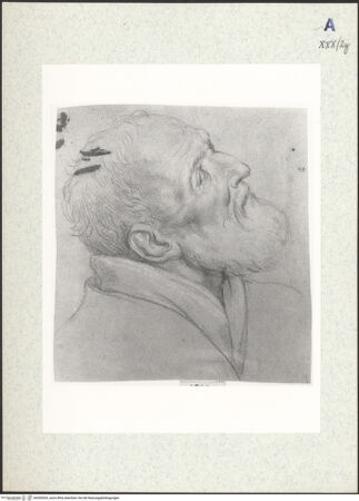 Vorderseite von bh306593_recto