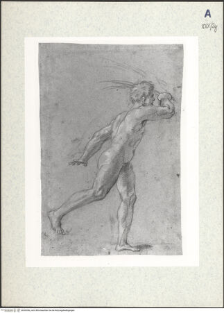 Vorderseite von bh306596_recto