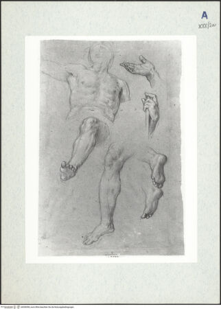 Vorderseite von bh306598_recto