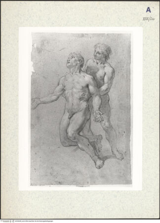 Vorderseite von bh306608_recto