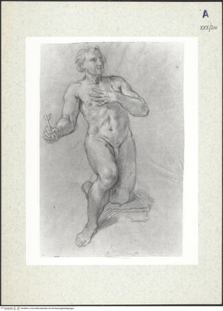 Vorderseite von bh306613_recto