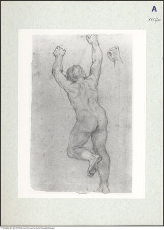 Vorderseite von bh306650_recto