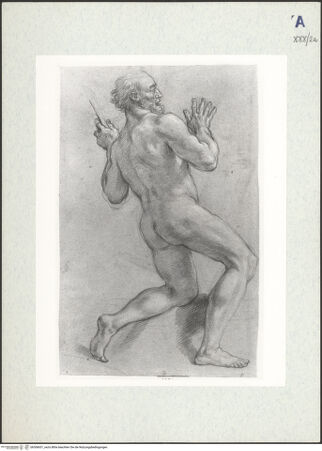 Vorderseite von bh306651_recto