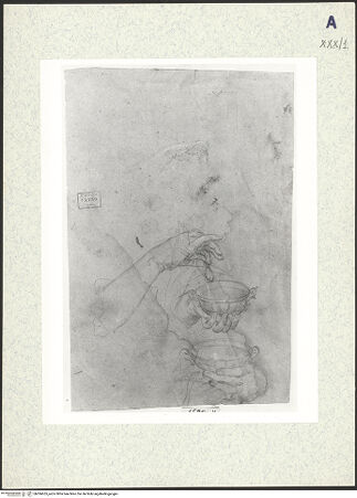 Vorderseite von bh306655_recto