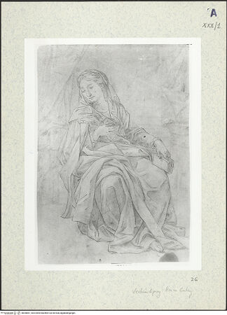 Vorderseite von bh306661_recto