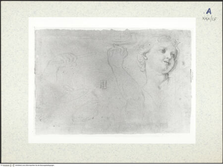 Vorderseite von bh306664_recto