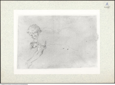 Vorderseite von bh306665_recto