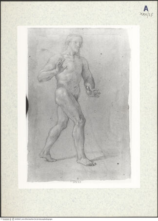 Vorderseite von bh306667_recto