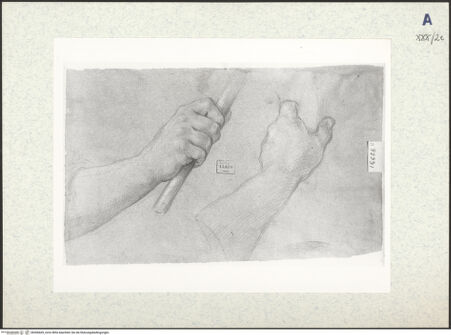 Vorderseite von bh306669_recto