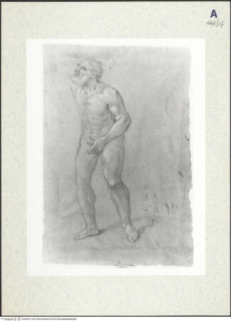 Vorderseite von bh306670_recto