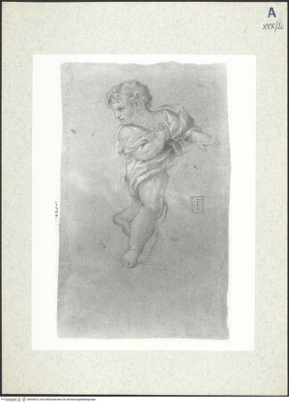 Vorderseite von bh306675_recto