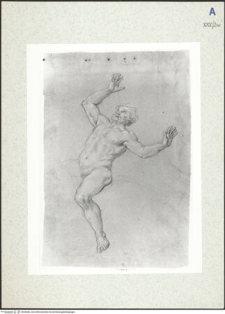 Vorderseite von bh306686_recto