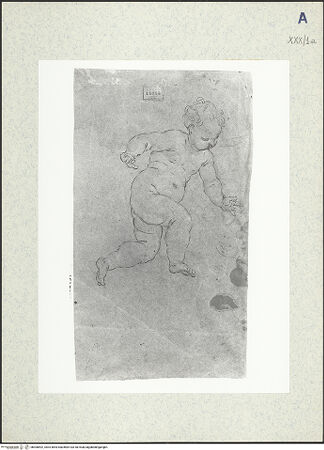 Vorderseite von bh306692_recto