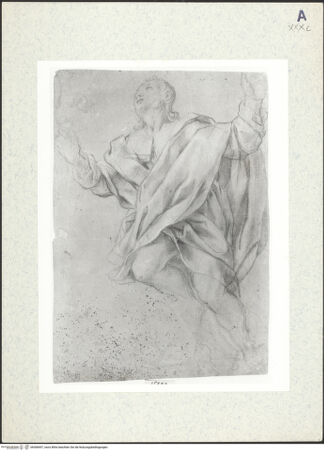 Vorderseite von bh306697_recto