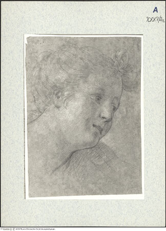 Vorderseite von bh306788_recto