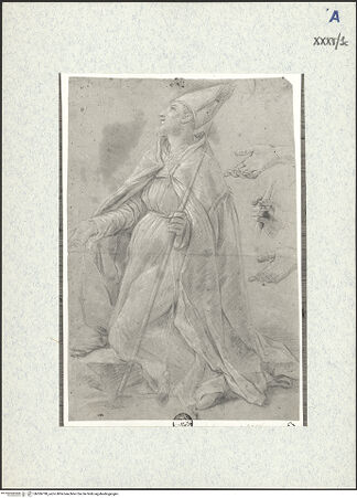 Vorderseite von bh306790_recto