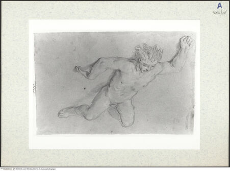 Vorderseite von bh306846_recto