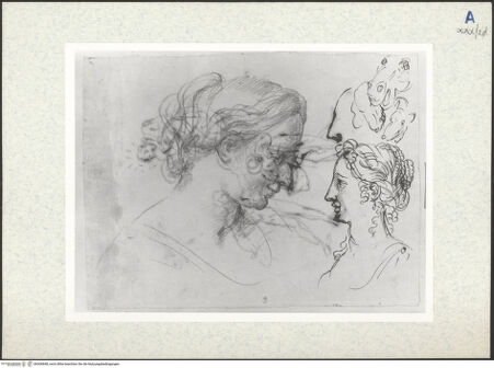 Vorderseite von bh306848_recto