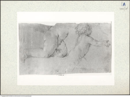 Vorderseite von bh306850_recto