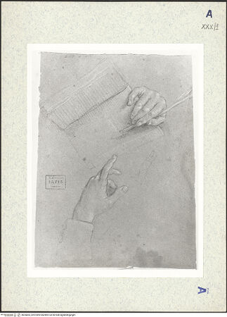 Vorderseite von bh306865_recto