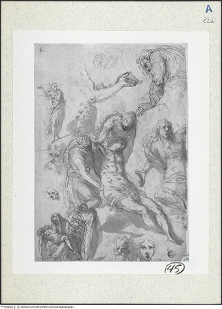 Vorderseite von bh306949_recto