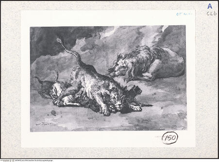 Vorderseite von bh306952_recto