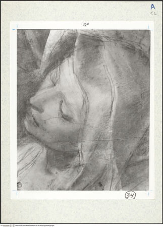 Vorderseite von bh307028_recto