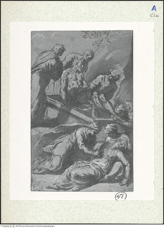 Vorderseite von bh307082_recto