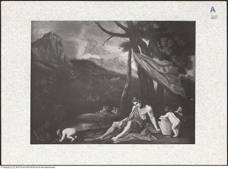 Vorderseite von bh307576_recto