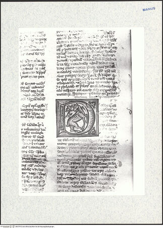 Vorderseite von bh307810_recto