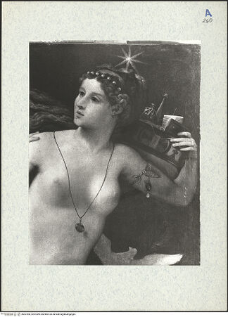 Vorderseite von bh307898_recto