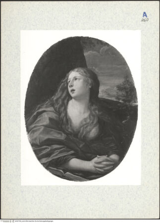 Vorderseite von bh307926_recto