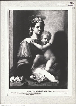 Vorderseite von bh308008_recto